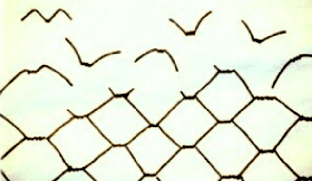 God Save the Queen (A blog about freedom…)