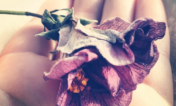 Memoirs of a fling….(Day 2)