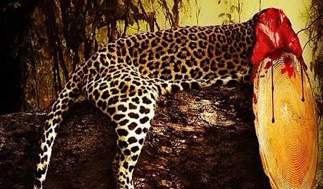 Saturn Rising (a poem by Jack)