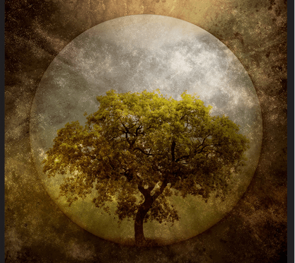 The Fountain (a movie reflection)